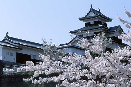 Shirakawa Castle